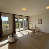 Appartement Allée Jacqueline Auriol 91300 Massy