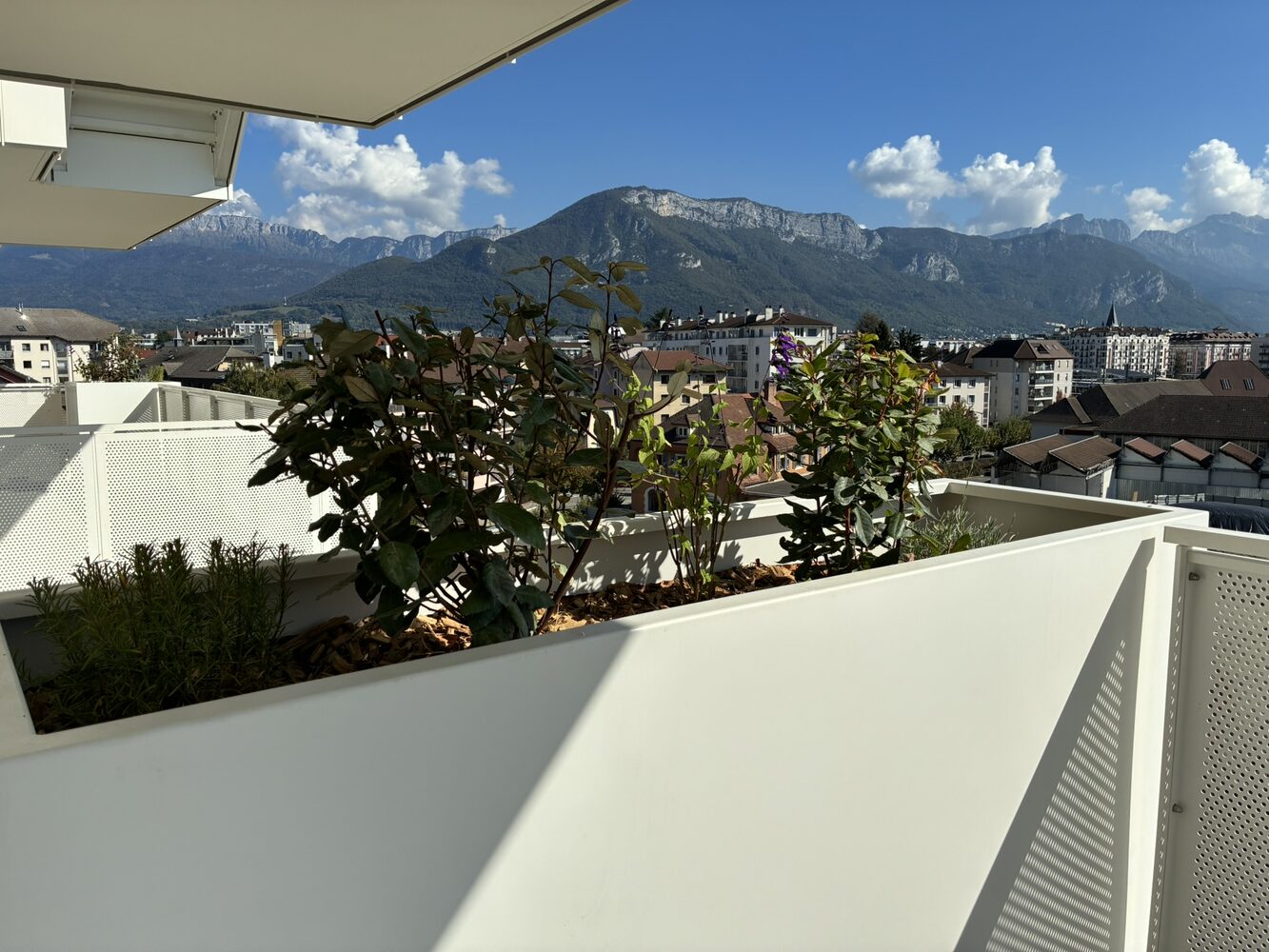 Appartement nu à louer