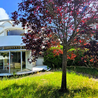 VILLA ANNEES 50