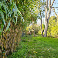 TERRAIN - SECTEUR DU PARC