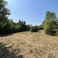 TERRAIN 