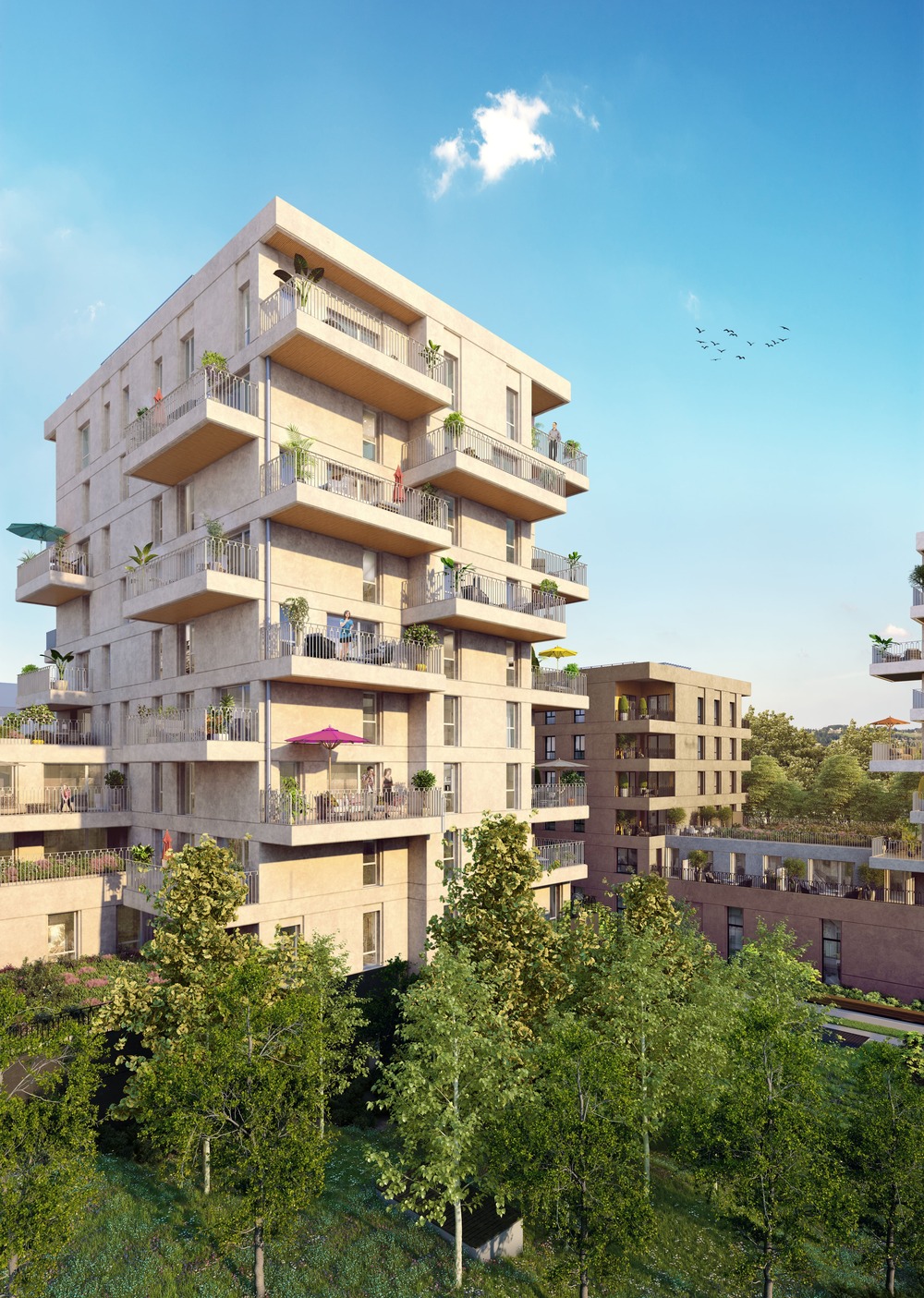 Appartement nu à louer