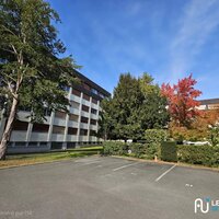 Appartement T3 Olivet