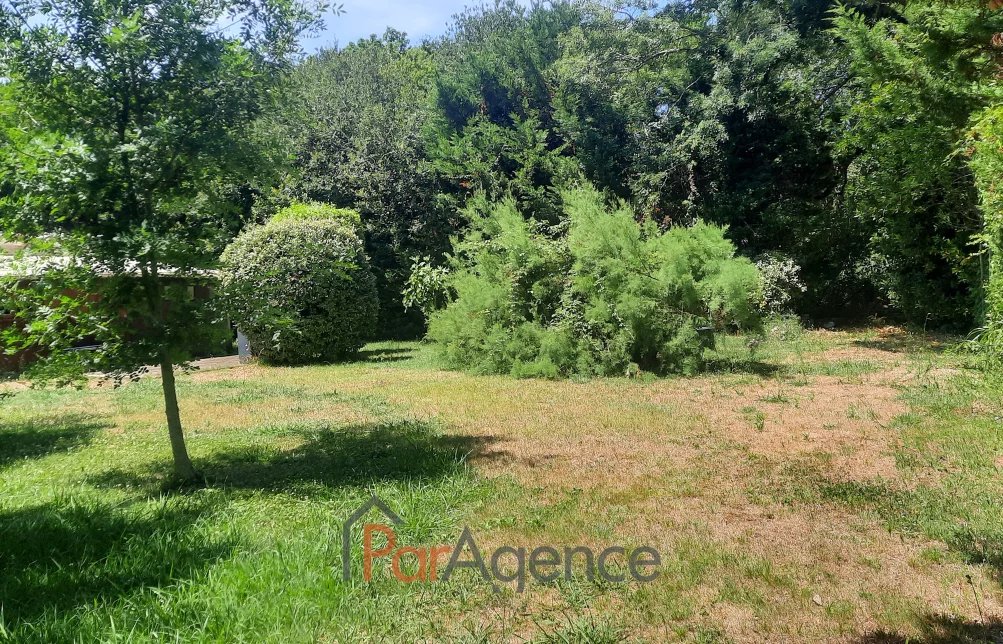 Terrain à vendre