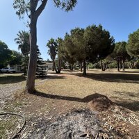 Terrain