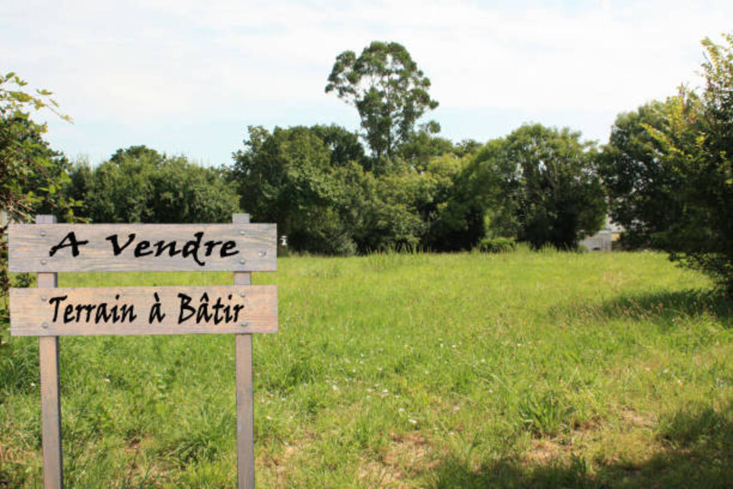 Terrain à vendre