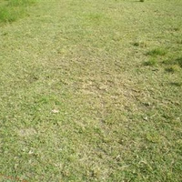 TERRAIN A BATIR