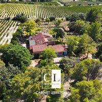 Grande Propriété entourée de vignes