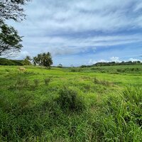 Terrain à vendre à Petit Bourg - Référence 21309