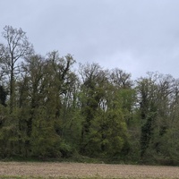 Terrain 60600 Breuil-le-Vert