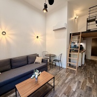 Appartement Rue Burdeau 69001 Lyon