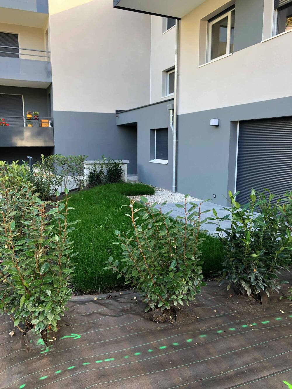 Appartement nu à louer