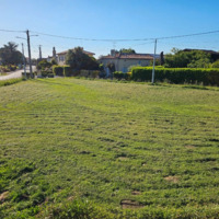 Terrain à bâtir – Blaignac (33) – 890 m²