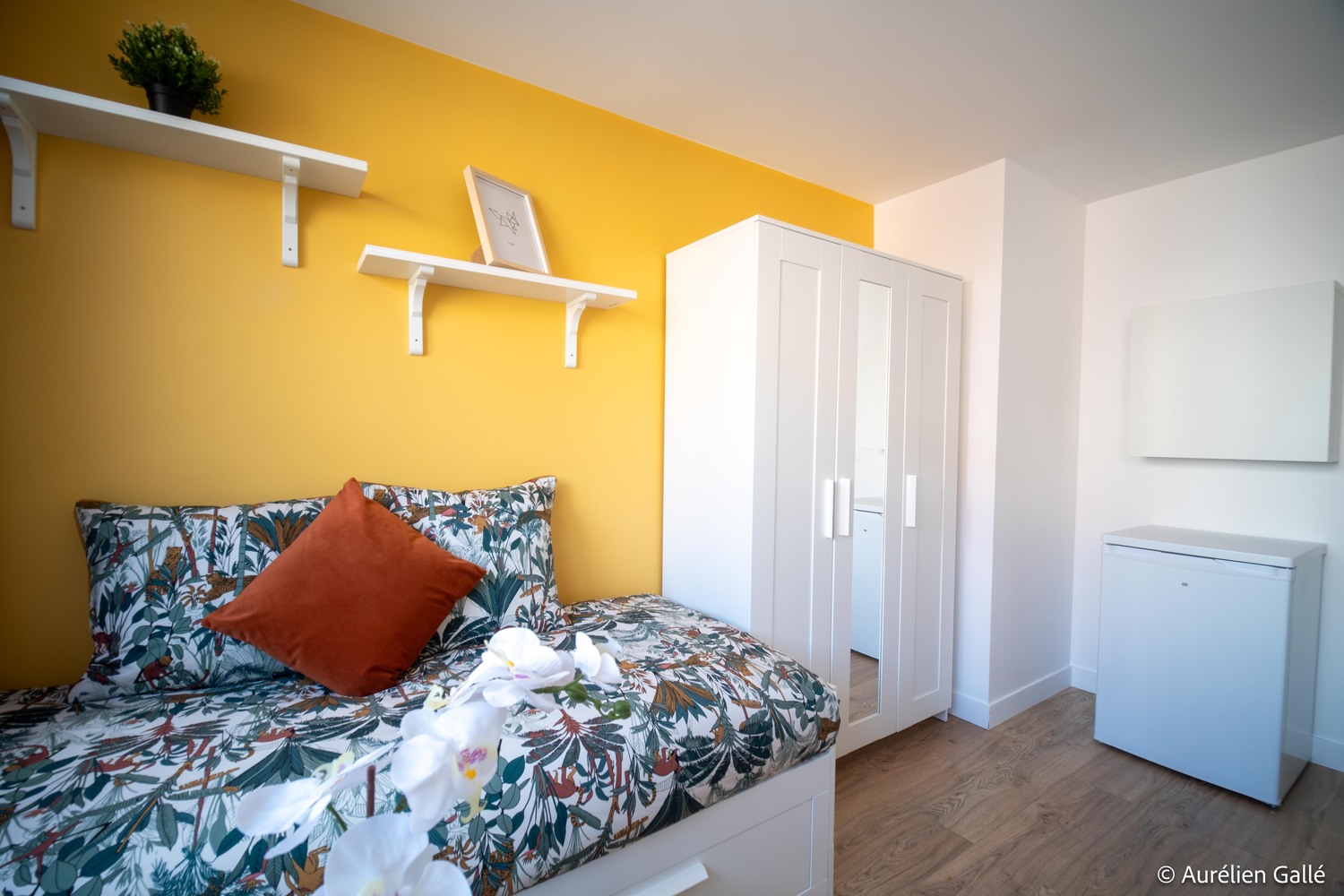 Appartement meublé en colocation