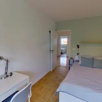Appartement Cours Émile-Zola 69100 Villeurbanne